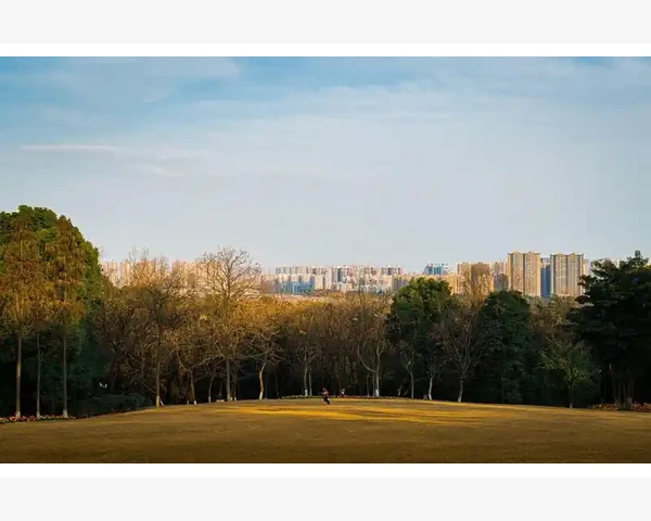 饭前胃疼，饭后犯困，如何解决